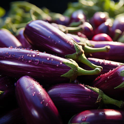 Brinjal_Long_Purple_e935721e-566b-47e0-a1d9-e427a9f8d019_1280x