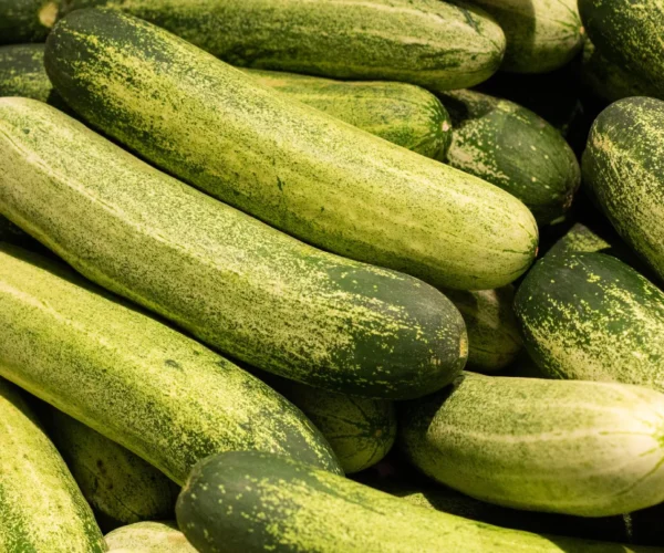 Cucumber_ed07ea45-2eb3-4002-b725-db176db357ed_1280x